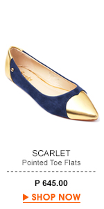 Pointed Toe Flats