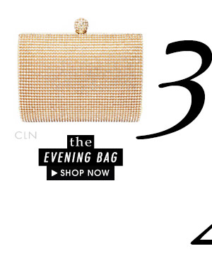 The Evening Bag