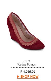Wedge Pumps