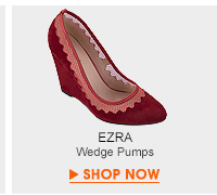 Wedge Pumps