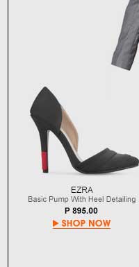 Basic Pumps