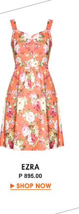 Scoop Flare Dress