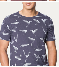 Bee Eater T-Shirt