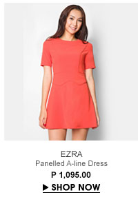 Panelled A-line Dress