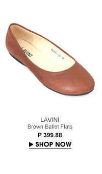 Brown Ballet Flats