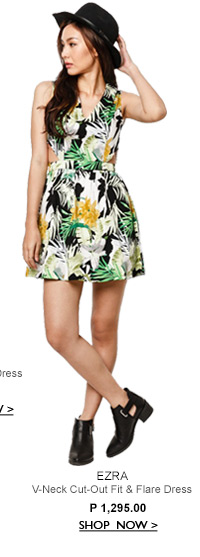 V-Neck Cut Out Dress