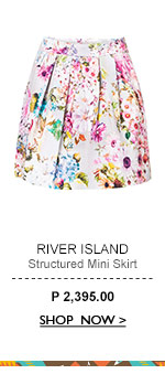 Mini Skirt