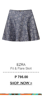 Fit And Flare Skirt