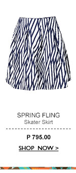 Skater Skirt