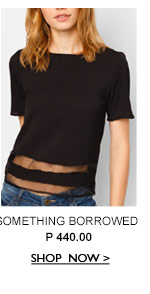 Strip Panel Top