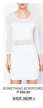 Mesh Panel Fitted Dress