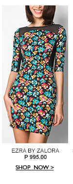 Mesh Insert Bodycon Dress