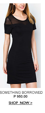 Mesh Front Sleeve Fitted Dress