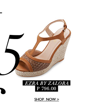 T-Bar Wedges