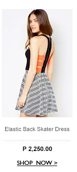 Skater Dress