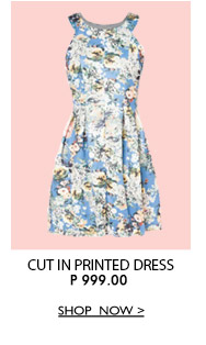 Cut In Printed Dress