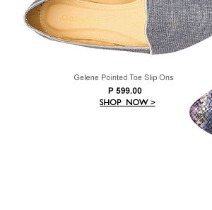 Pointed Toe Slip Ons