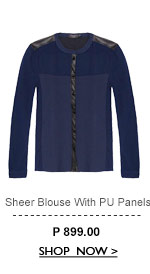 Sheer Blouse with Panels