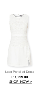 Lace Panelled Dress