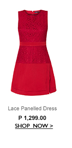 Lace Panelled Dress