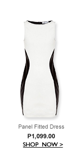 Panel Fitted Dress