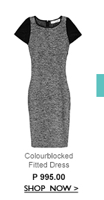 Colourblocked Fitted Dress