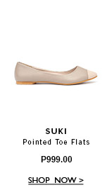 Pointed Toe Flats