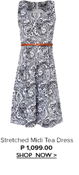 Midi Tea Dress