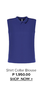 Shirt Collar Blouse