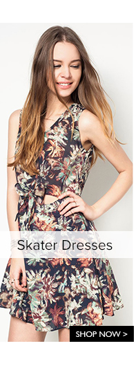 Shop Skater Dresses
