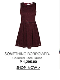 Collared Lace Dress