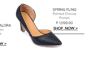 Pointed Pumps