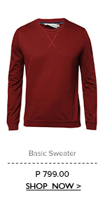 Basic Sweater