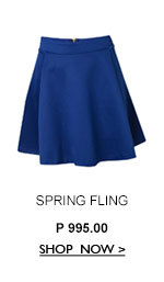 Skater Skirt