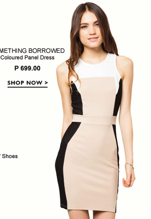 Coulured Panel Dress