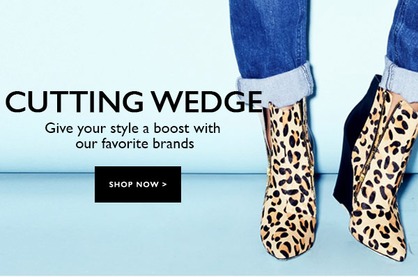 Cutting Wedge
