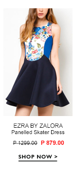Skater Dress