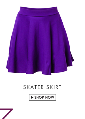 Skater Skirt