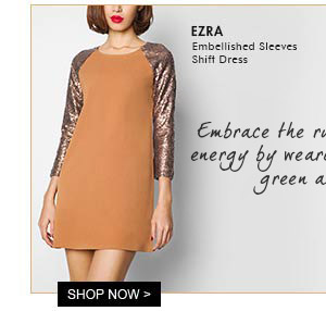 Embellished Sleeves Shift Dress