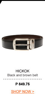 Mens Black & Brown Belt