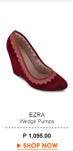 Wedge Pumps